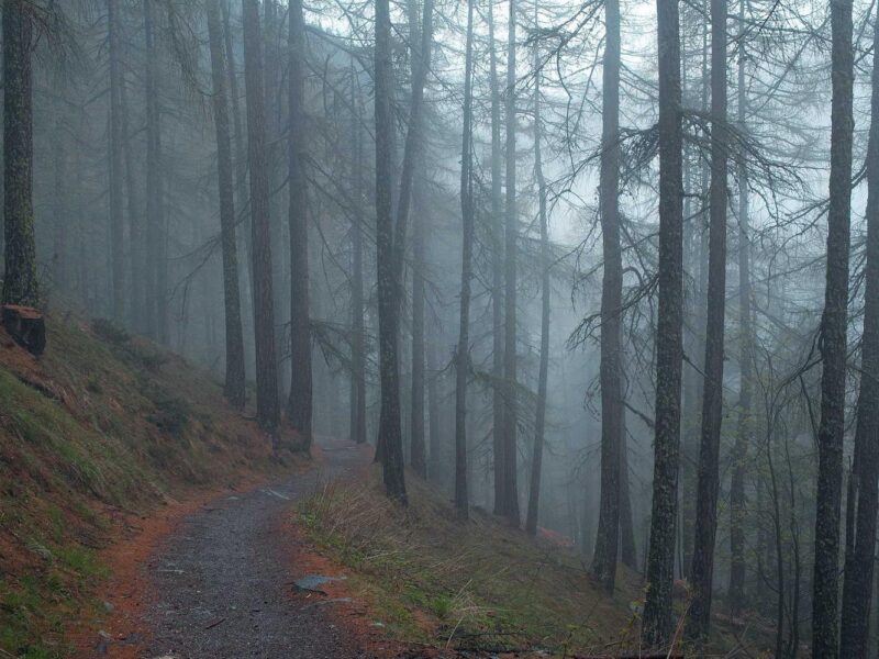 Reel theme preview 1